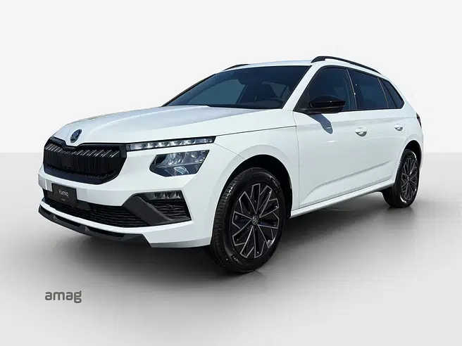 Škoda Kamiq Dynamic (Netto)
