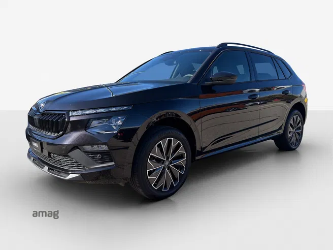 Škoda Kamiq Dynamic (Netto)