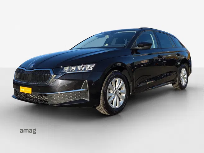 Škoda Oct. SE 2.0 TDI 150PS 7DSG