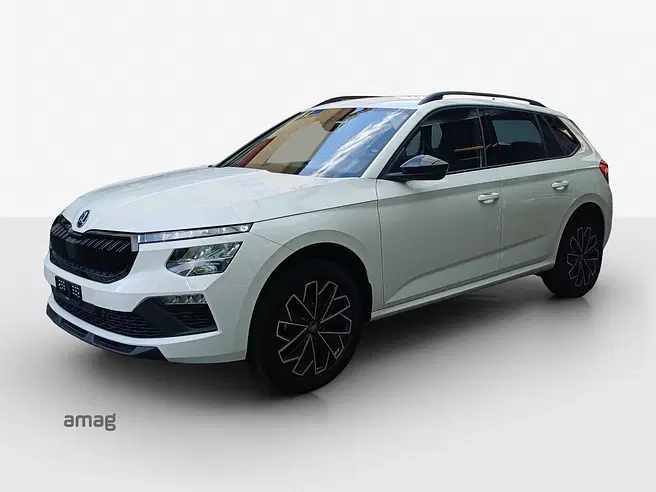 Škoda Kamiq Dynamic (Netto)