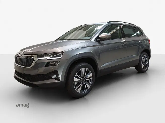 Škoda Karoq Dynamic (Netto)