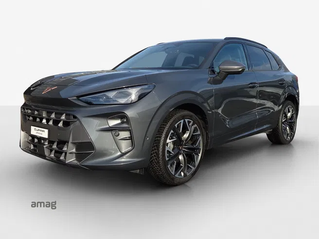 Cupra Terramar 2.0TSI 204PS 4D