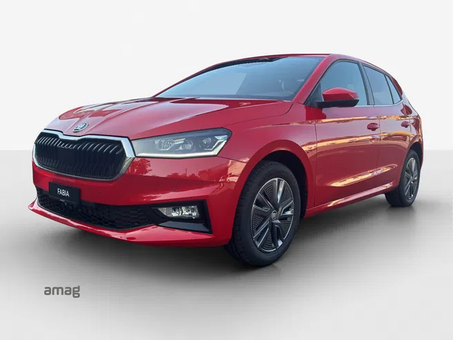Škoda Fabia Dynamic (Netto)