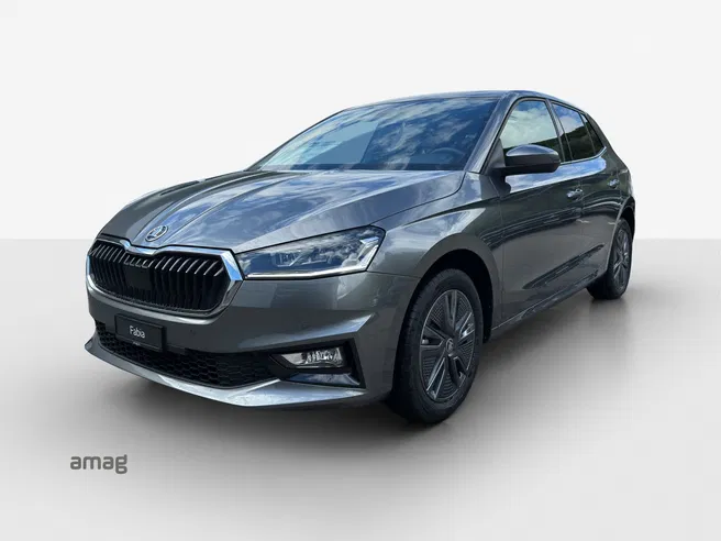 Škoda Fabia Dynamic (Netto)