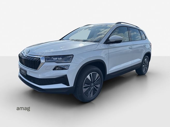 Škoda Karoq Dynamic (Netto)