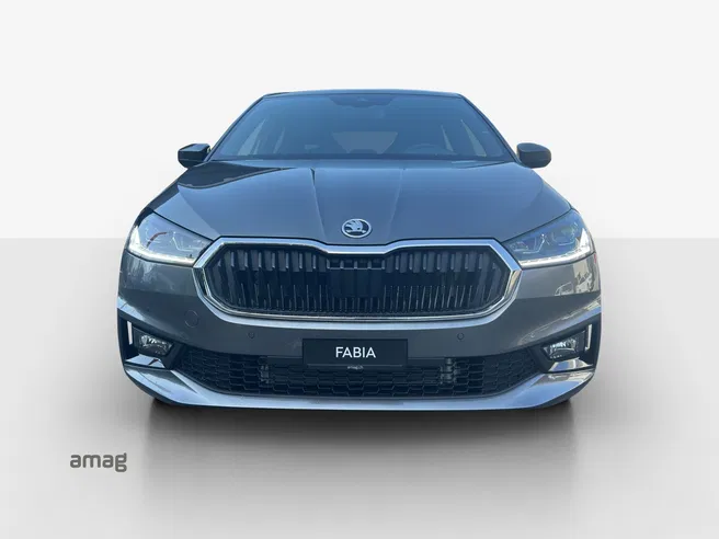Škoda Fabia Dynamic (Netto)