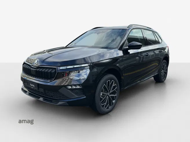 Škoda Kamiq Dynamic (Netto)
