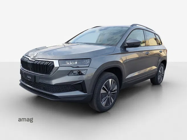 Škoda Karoq Dynamic (Netto)