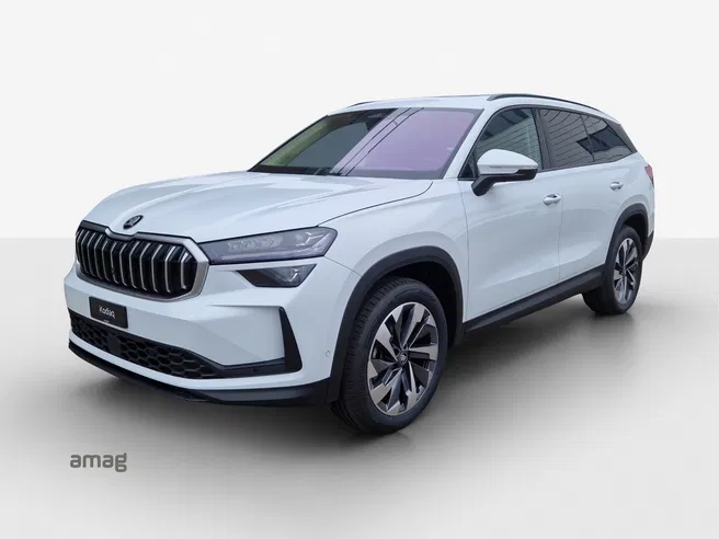 Škoda Kodiaq Dynamic (Netto)