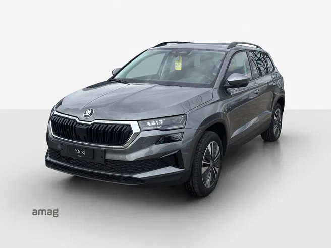 Škoda Karoq Dynamic (Netto)