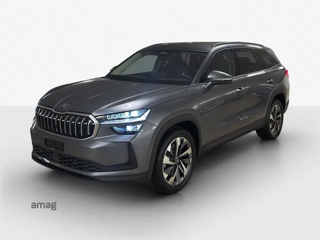 Škoda Kodiaq Dynamic (Netto)