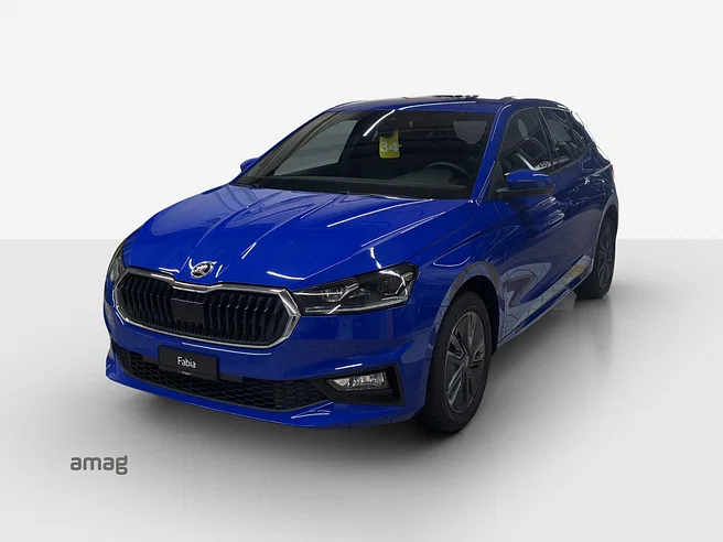Škoda Fabia Dynamic (Netto)
