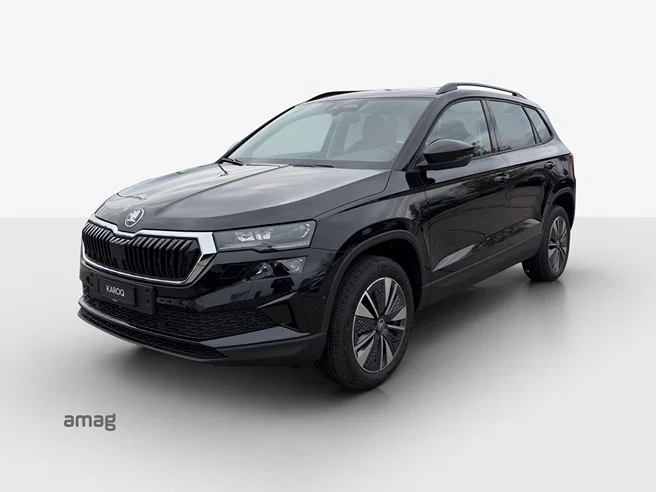 Škoda Karoq Dynamic (Netto)