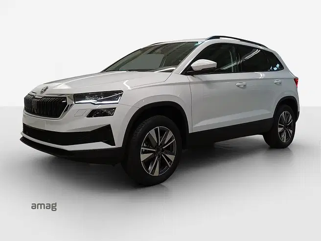 Škoda Karoq Dynamic (Netto)