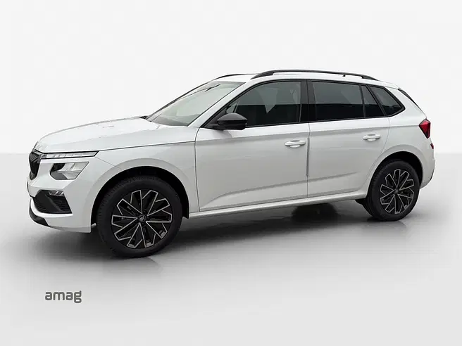 Škoda Kamiq Dynamic (Netto)