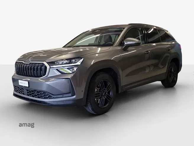 Škoda Kodiaq Dynamic (Netto)