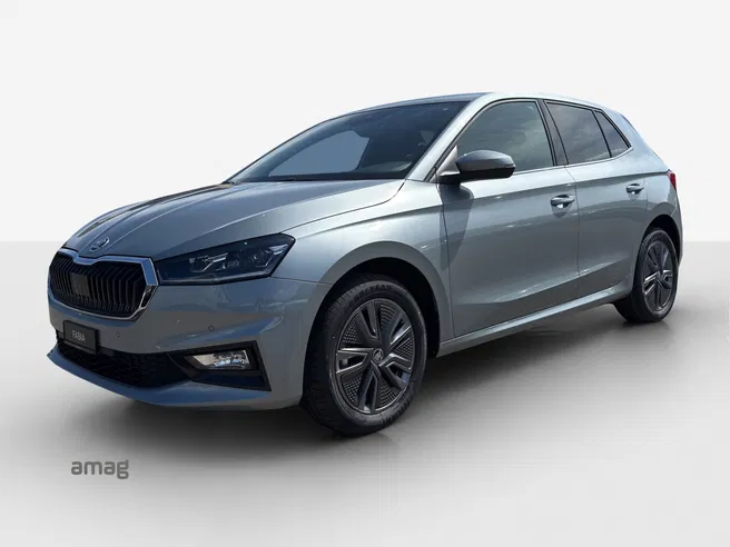 Škoda Fabia Dynamic (Netto)