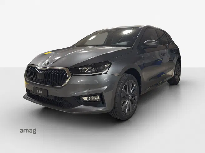 Škoda Fabia Dynamic (Netto)