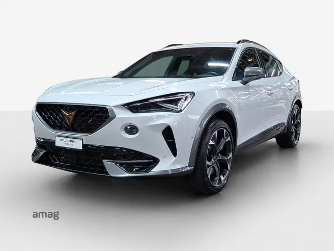 Cupra Formentor VZ 2.0TSI 310PS 7D 4