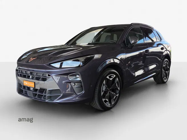 Cupra CUPRA TERRAMAR 4DRIVE