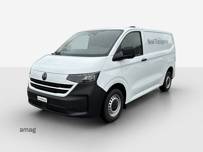 VW Nutzfahrzeuge Transporter Kastenwagen RS 3100mm