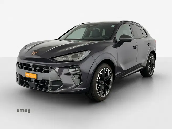 Cupra CUPRA TERRAMAR 4DRIVE