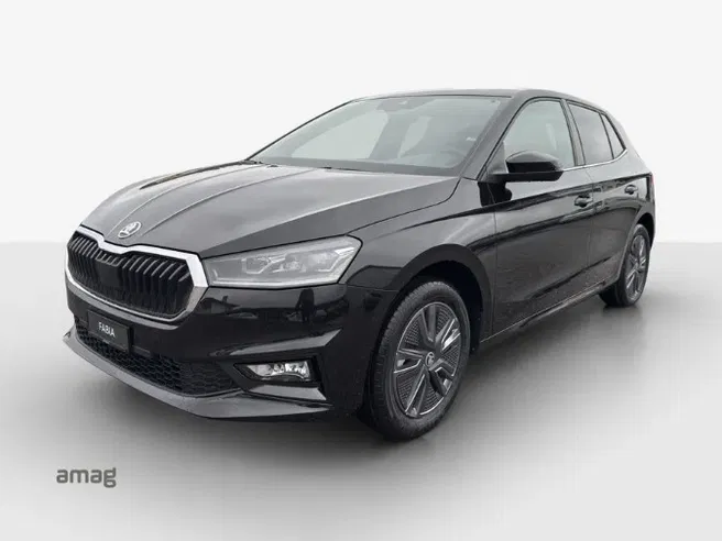 Škoda Fabia Dynamic (Netto)