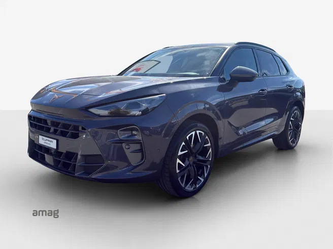 Cupra CUPRA TERRAMAR 4DRIVE