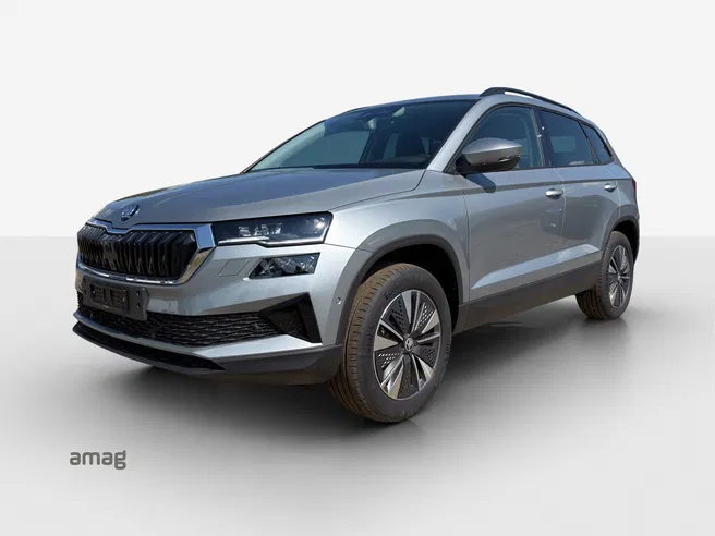 Škoda Karoq Dynamic (Netto)