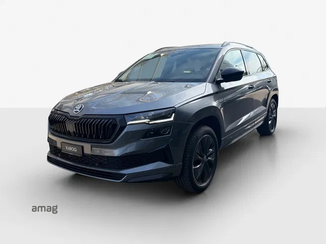 Škoda Karoq «Dynamic» Limited Edition (Netto)