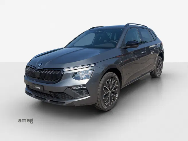 Škoda Kamiq Dynamic (Netto)