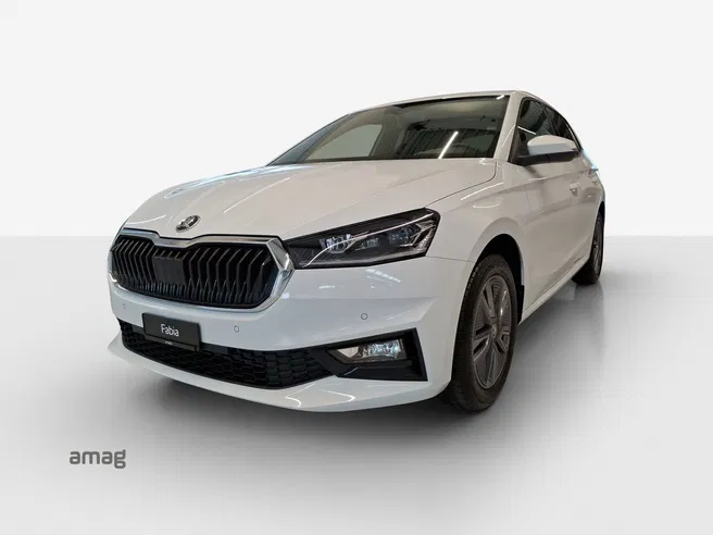 Škoda Fabia Dynamic (Netto)