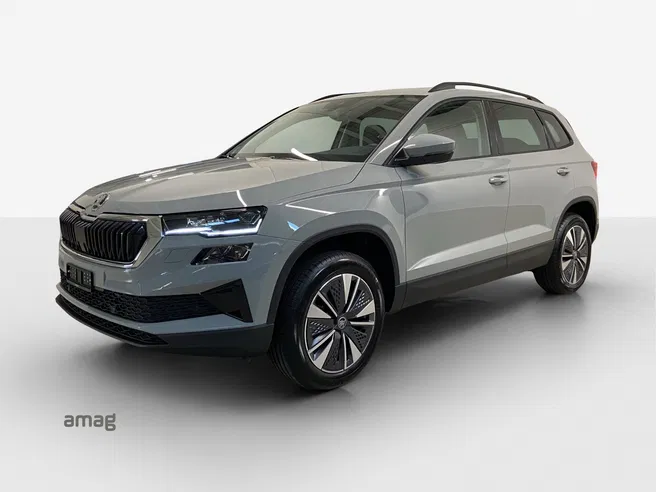 Škoda Karoq Dynamic (Netto)