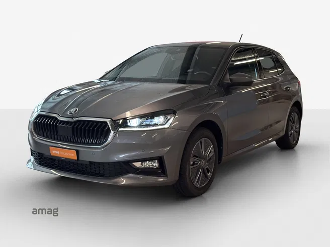Škoda Fabia Dynamic (Netto)