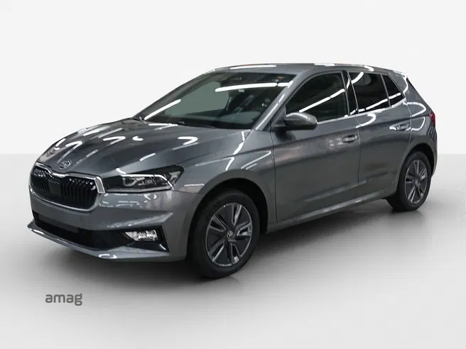 Škoda Fabia Dynamic (Netto)