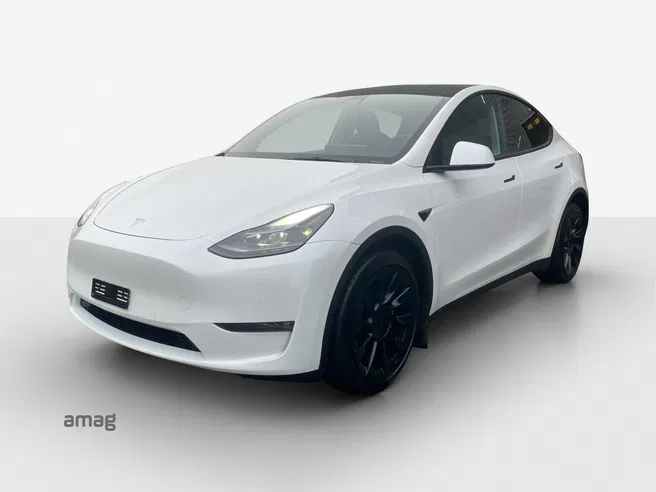 Tesla Model Y Long Range