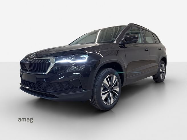 Škoda Karoq Dynamic (Netto)