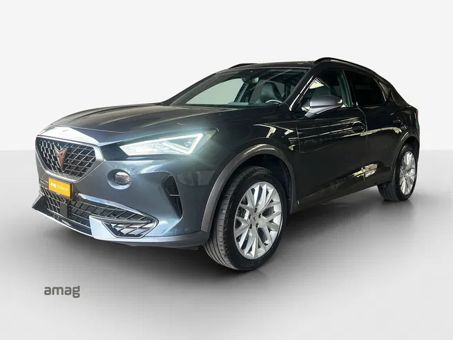 Cupra Formentor In 2.0TSI 190PS 7D 4