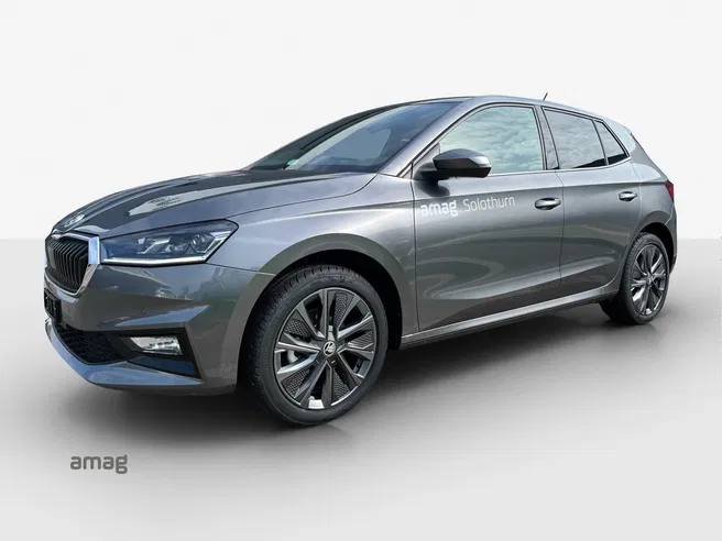 Škoda Fabia Dynamic (Netto)