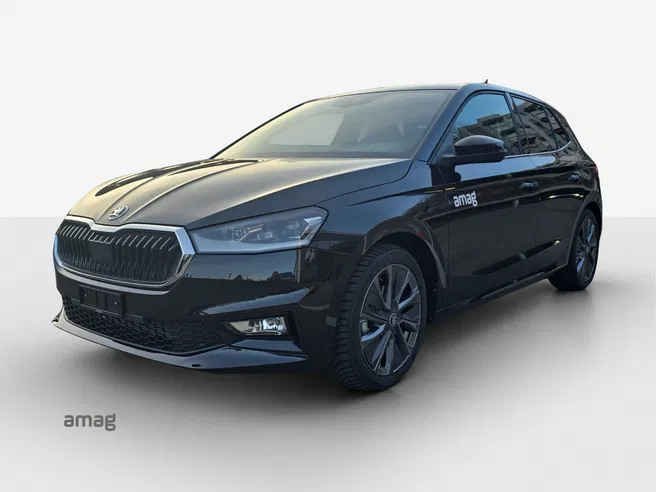 Škoda Fabia Dynamic (Netto)