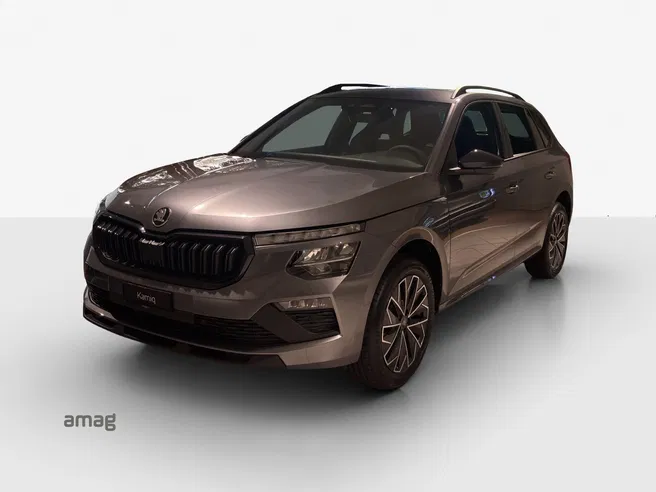 Škoda Kamiq Dynamic (Netto)