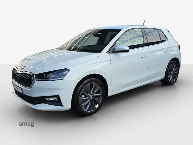 Škoda Fabia Dynamic (Netto)