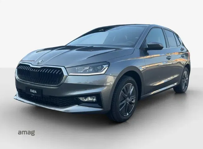 Škoda Fabia Dynamic (Netto)