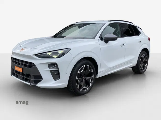 Cupra CUPRA TERRAMAR 4DRIVE