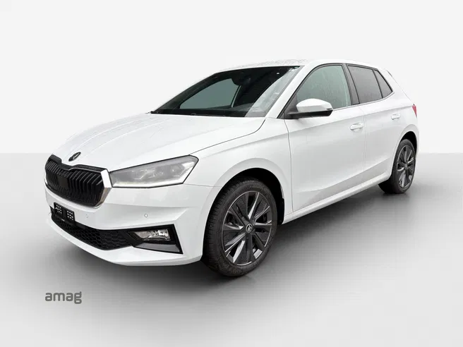 Škoda Fabia Dynamic (Netto)