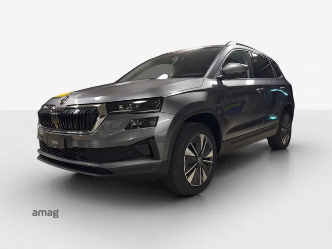 Škoda Karoq Dynamic (Netto)