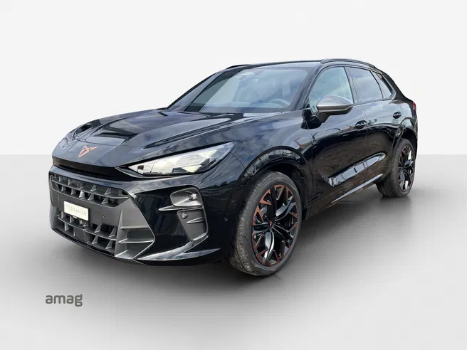 Cupra CUPRA TERRAMAR 4DRIVE