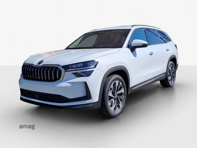 Škoda Kodiaq Dynamic (Netto)