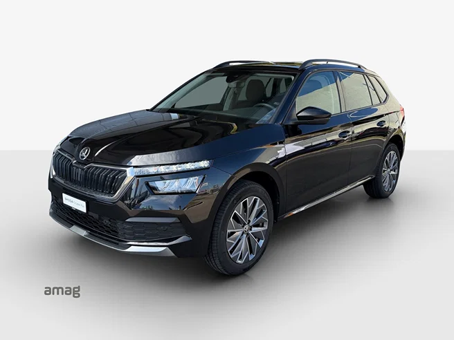 Škoda Kamiq «Tour» (NETTO)