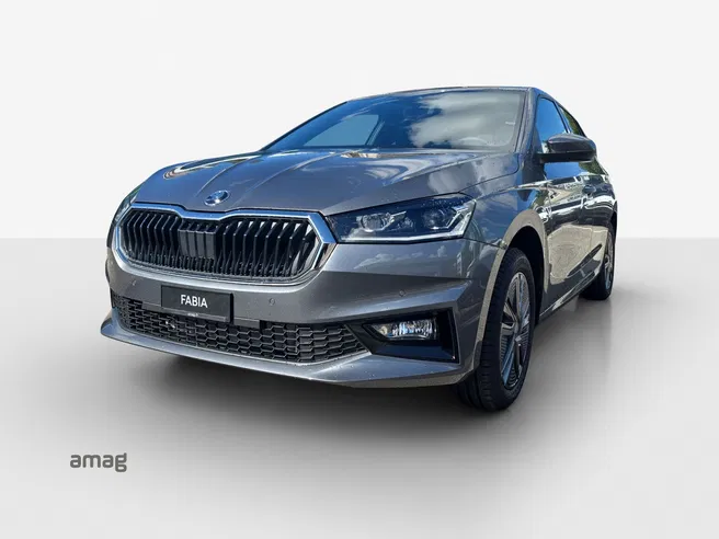 Škoda Fabia Dynamic (Netto)